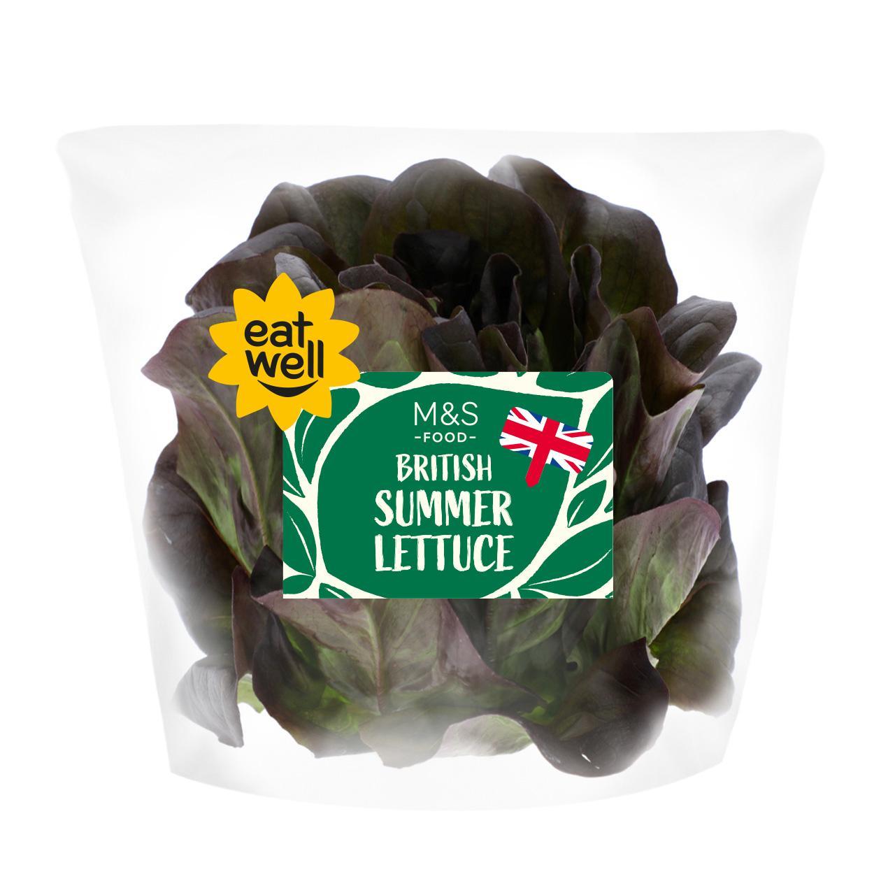 M&S British Summer Lettuce