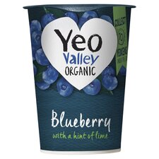 Yeo Valley Blueberry Yogurt 450G