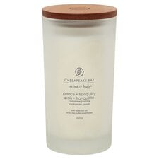 Chesapeake Bay Cashmere Jasmine Candle 355G