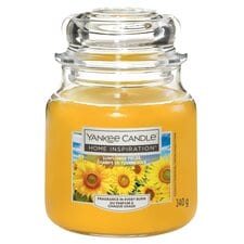 Yankee Sunflower Fields Candle Medium 340G