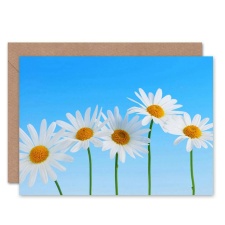 Artery8 Daisy Flowers Blue Sky Bright Wildflowers Floral Nature Greeting Card