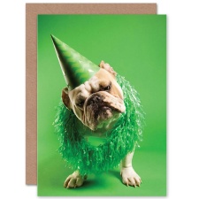 Wee Blue Coo Dog Lover Pet Bulldog Party Hat Green Birthday Greeting Card