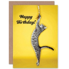 Wee Blue Coo Playful Cat Lover Pet Tabby Yellow Happy Birthday Greeting Card