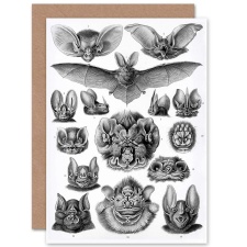 Artery8 Ernst Haeckel Nature Chiroptera Bat Biology Animal Greeting Card