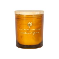 Nicola Spring Soy Wax Scented Candle - 130g - Sandalwood & Jasmine