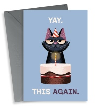 Funny Grumpy Cat Birthday Card