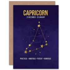 Wee Blue Coo Capricorn Star Sign Zodiac Astrology Birthday Greeting Card