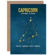 Wee Blue Coo Capricorn Star Sign Zodiac Constellation Birthday Greeting Card