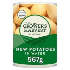 Growers Harvest New Potatoes In Water 567G