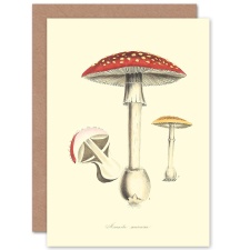 Artery8 Fungus Fly Agaric Nature Red Magic Mushroom Botanical Greeting Card