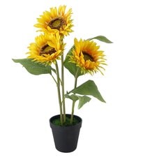 Bayswood Artificial Sunflower Pot