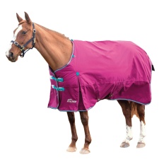 Shires Highlander Original 300 Standard-Neck Horse Turnout Rug - Raspberry - 5´ 6"