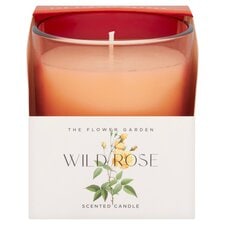 T WILD ROSE CANDLE 185G