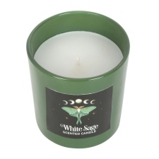 Something Different Luna Moth White Sage Scented Candle - White/Green - One Size