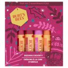 Burt's Bees Beeswax Bounty Fruit Mix