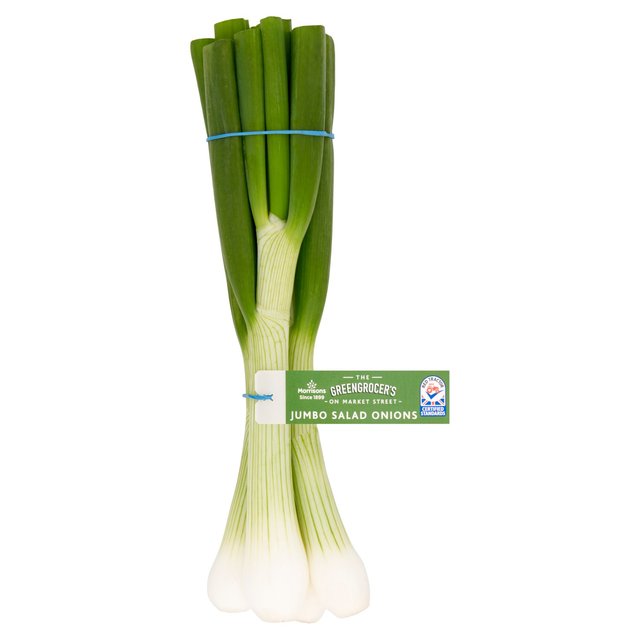 Morrisons Jumbo Salad Onions  110g