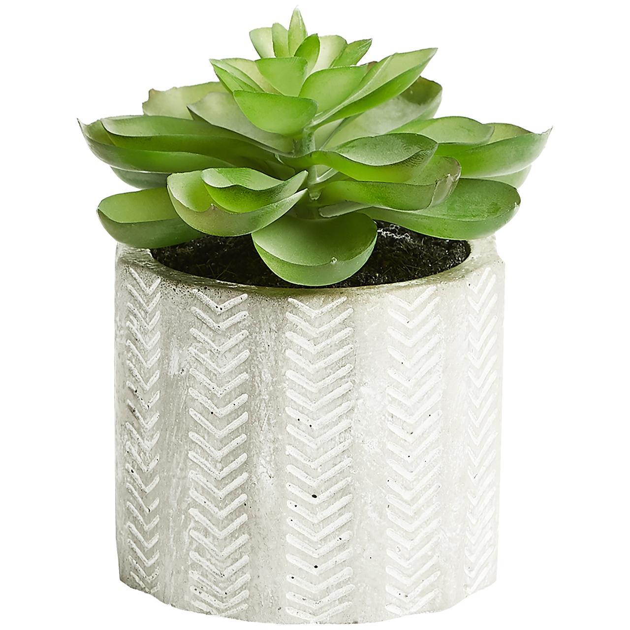 M&S Artificial Echeveria in Concrete Pot 11X9.2cm