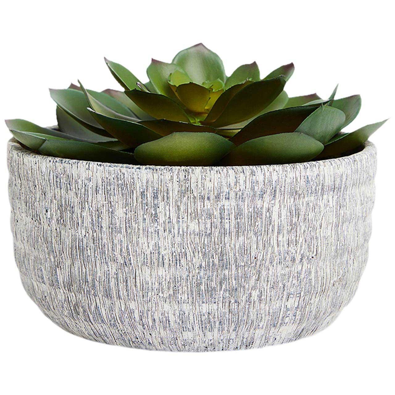 M&S Artificial Echeveria in Concrete Pot 'One Size Green