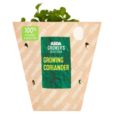 ASDA Aromatic & Zesty Growing Coriander