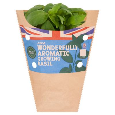 ASDA Wonderfully Aromatic Growing Basil