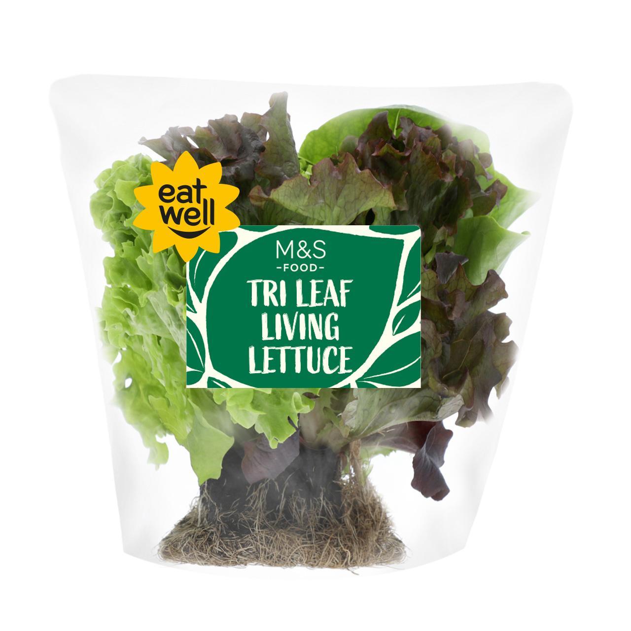 M&S Tri Leaf Lettuce 