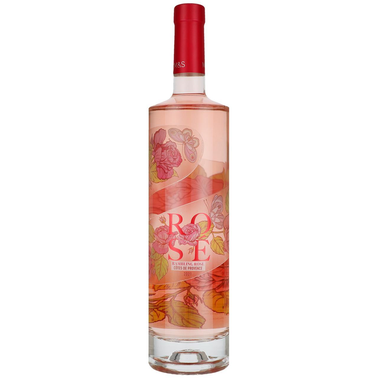 M&S Rambling Provence Rose