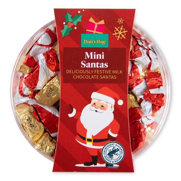 Dairyfine Mini Chocolate Santas 125g/25 Pack