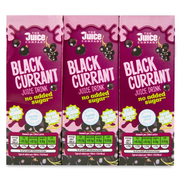 The Juice Company Blackcurrant Juice Drink 250ml