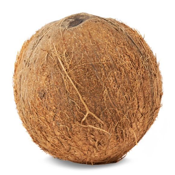 Nature's Pick Coconut Each