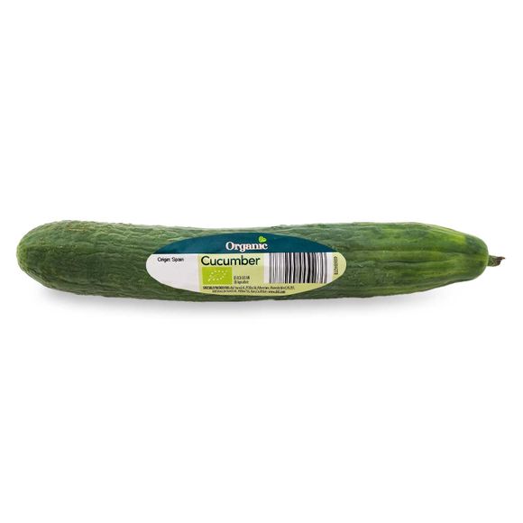 Organic Cucumber Each