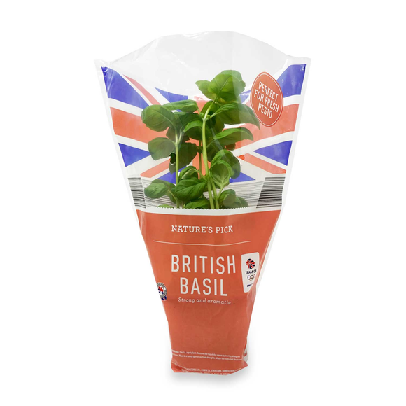 Ready, Set…Cook! Potted Basil Each