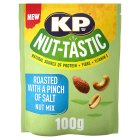 KP Nut-Tastic Pinch of Salt Nut Mix Grazing Bag