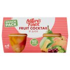 Nature's Finest Fruit Cocktail In Juice 4x120g