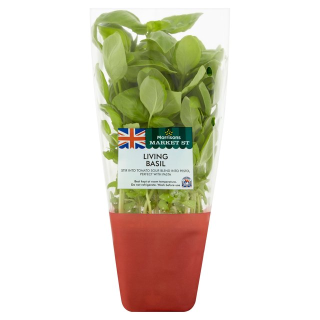 Morrisons Market St Living Basil 