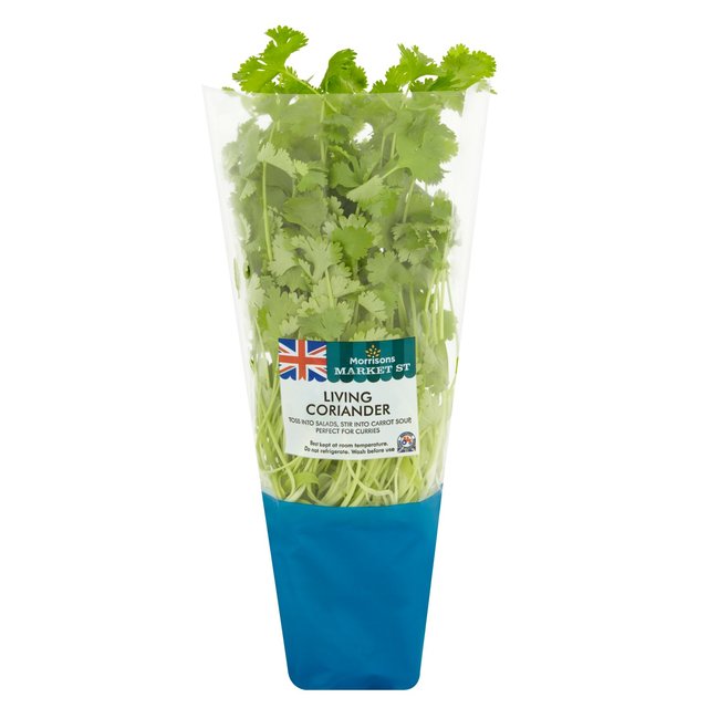 Morrisons Market St Living Coriander 