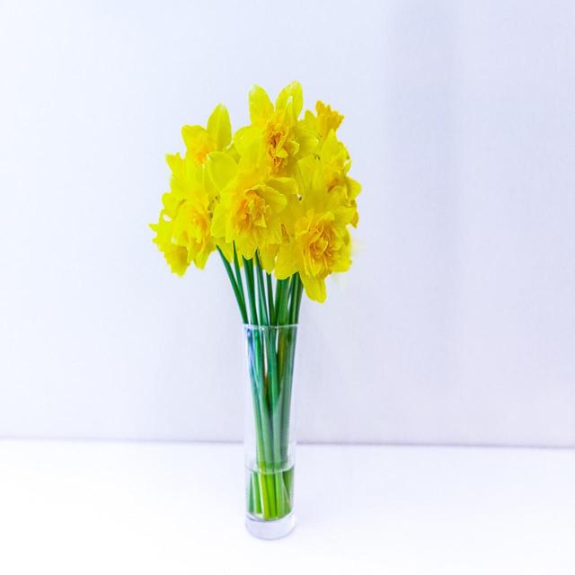 Morrisons British Best Daffodil Flowers  