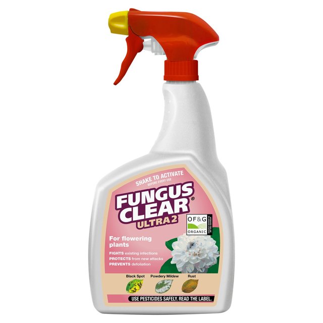 Evergreen Fungus Clear Ultra 2 800ml 