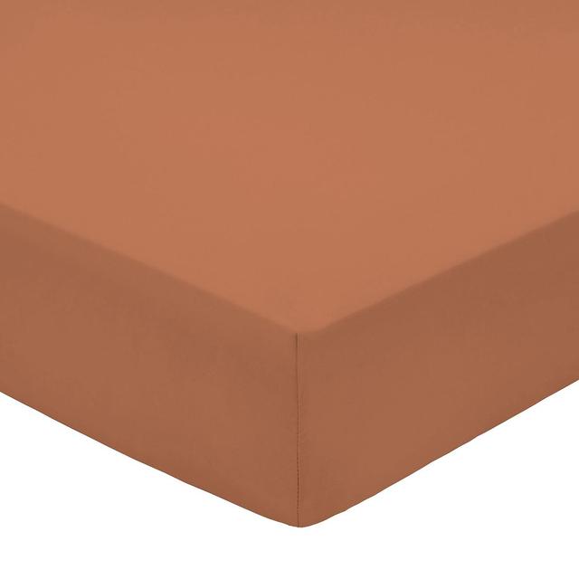 Nutmeg Terracotta 100% Cotton Fitted Sheet King 