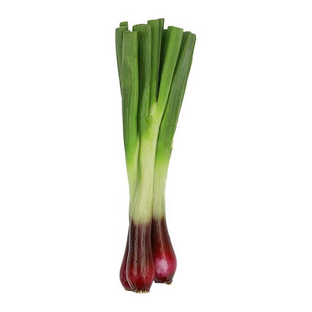 Morrisons Red Jumbo Salad Onions 