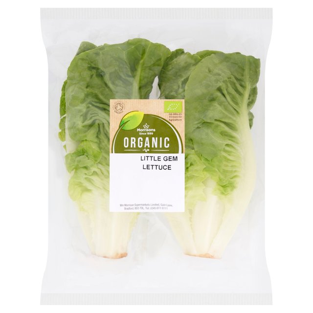 Morrisons Organic Lettuce 