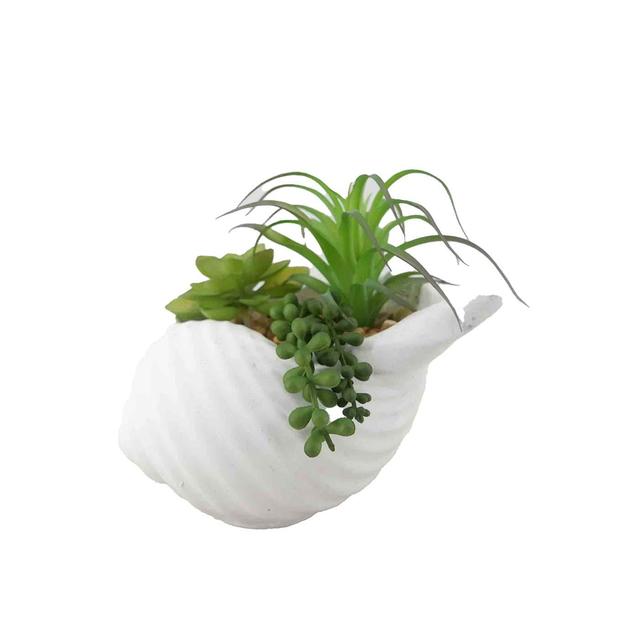 Nutmeg Home Shell Faux Plant 