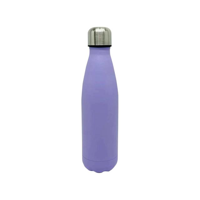 Nutmeg Home Stainless Steel Double Wall Water Bottle Purple 500ml 