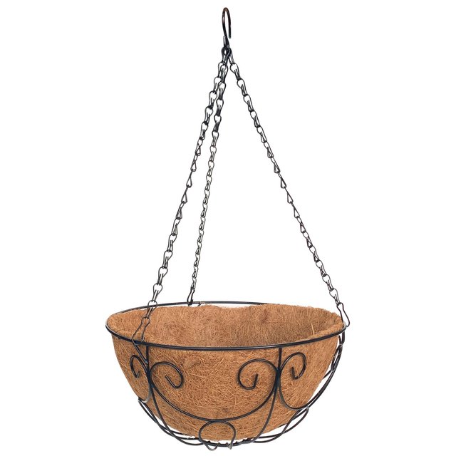 Nutmeg Hanging Basket 