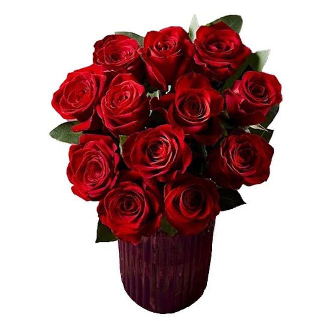 Morrisons Dozen Red Roses Flowers Bouquet 