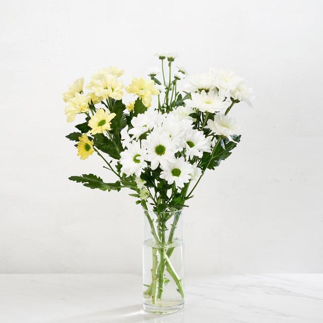 Morrisons Chrysanthemum Duo Flowers Bouquet 