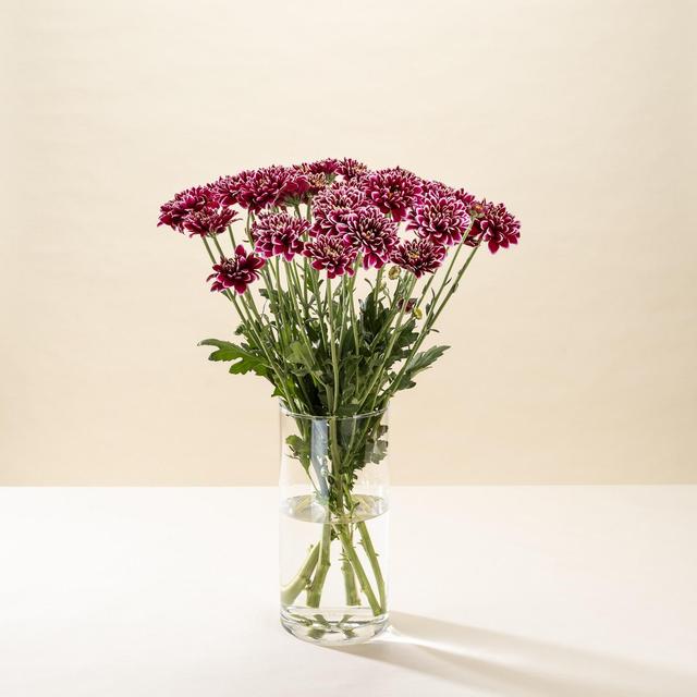 Morrisons Chrysanthemum Flowers Bouquet 