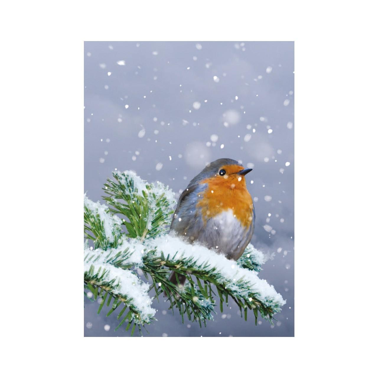 Animals & Flowers Christmas Card Pack