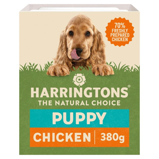 Harringtons Grain Free Puppy Wet Dog Food Tray, Turkey & Vegetables