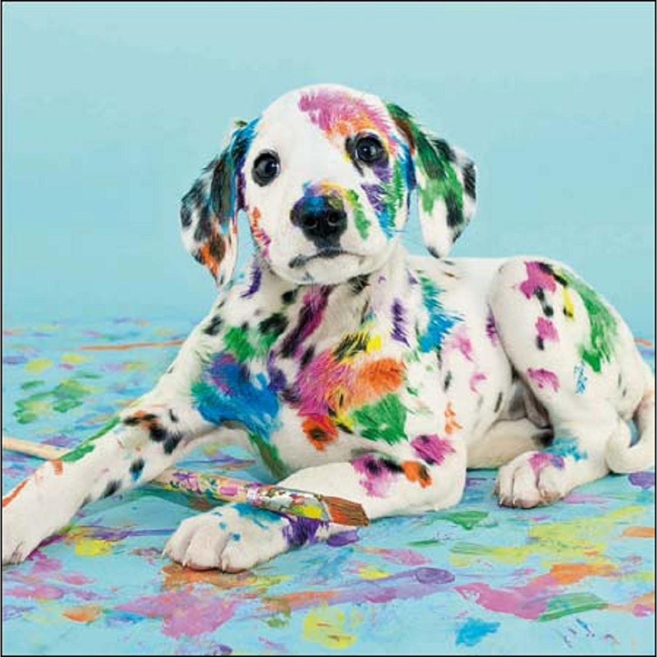 Woodmansterne Blank Card with Dalmatian Dog and Paint Birthday Greeting Card