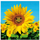 Woodmansterne Blank Card with Photographic Smiley Face Sunflower Birthday Greeting Card